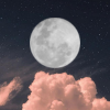Moon Phase Widget